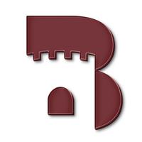 Bayazet Armenian Analytical-Research Center NGO