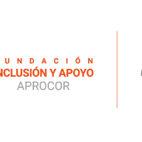 Inclusion and Support Aprocor Foundation