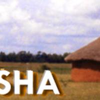 Rafiki Ya Maisha