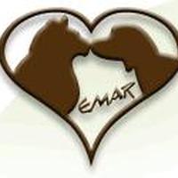 East Mississippi Animal Rescue