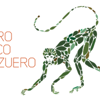 FUNDACION PRO ECO AZUERO