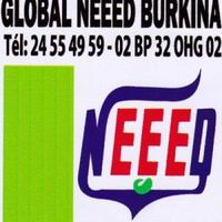Global NEEED Burkina