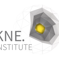 KNE Sustainability Institute gGmbH