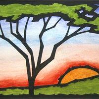 Solar Roots