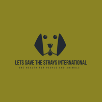 Lets Save The Strays International Inc