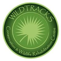 Wildtracks