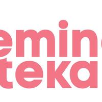 Fundacja Feminoteka