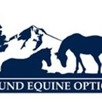 Sound Equine Options