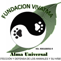 Fundacion Vivatma