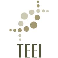 Handprints, Inc DBA The Educational Enrichment Initiative (TEEI)