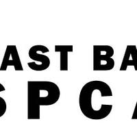 East Bay SPCA