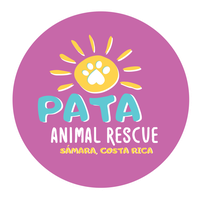 Asociacion PATA para los animales de Samara