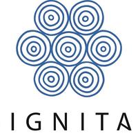 Dignitas International
