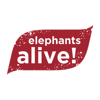 Elephants Alive