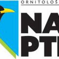 Ornitolosko drustvo Nase ptice
