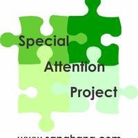Special Attention Project (SAP)