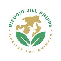 Jill Phipps associazione etica antispecista