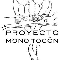 Proyecto Mono Tocon