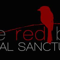 Little Red Bird Animal Sanctuary