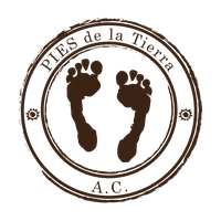 Proyectos Integrales en Economia Sustentable PIES de la Tierra