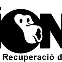 The Mona Foundation