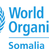 WHO Somalia