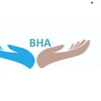 Better Hands Association The- Gambia