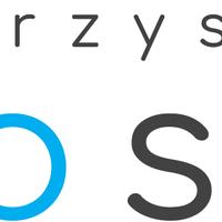 Stowarzyszenie WIOSNA