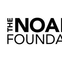 The Noakes Foundation