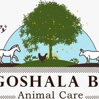 Goshala-BJ & Animal care