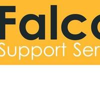 Falcon Support Services E.M LTD