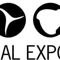 Critical Exposure