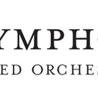 Detroit Symphony Orchestra Inc
