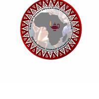 The African Education Foundation In North America