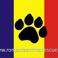 Romania Animal Rescue, Inc.