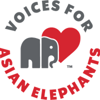 Voices for Asian Elephants