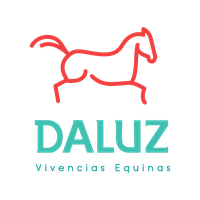 Fundacion Daluz Vivencias Equinas