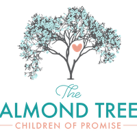 The Almond Tree
