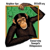Neighbor Ape