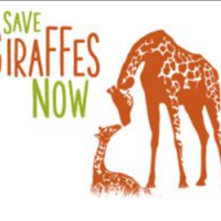Save Giraffes Now