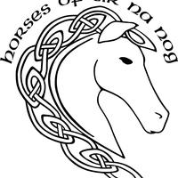 HORSES OF TIR NA NOG