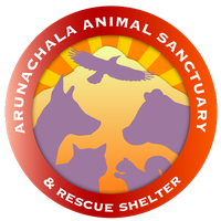 Arunachala Animal Sanctuary & Rescue Shelter