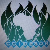 Citizens Centre for Integrated Development and Social Rights - CCIDESOR