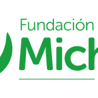 Fundacion Michin