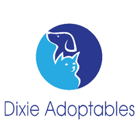 Dixie Adoptables