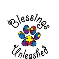 Blessings Unleashed Foundation