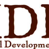 IDEX (International Development Exchange)