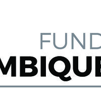 Fundacion Mozambique Sur