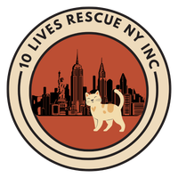 10 Lives Rescue NY Inc