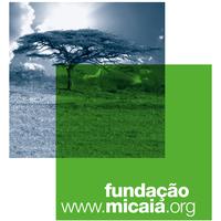 MICAIA Foundation (Fundacao MICAIA)